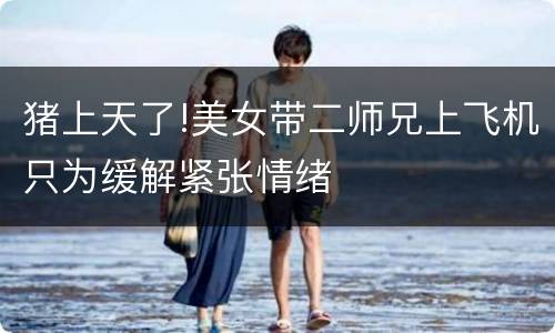 猪上天了!美女带二师兄上飞机只为缓解紧张情绪