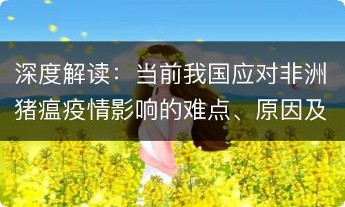 深度解读：当前我国应对非洲猪瘟疫情影响的难点、原因及政策建议