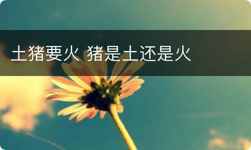 土猪要火 猪是土还是火