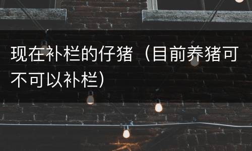 现在补栏的仔猪（目前养猪可不可以补栏）