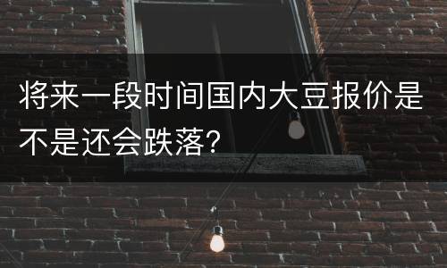 将来一段时间国内大豆报价是不是还会跌落？