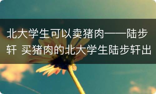 北大学生可以卖猪肉——陆步轩 买猪肉的北大学生陆步轩出生地