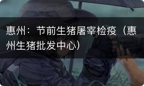 惠州：节前生猪屠宰检疫（惠州生猪批发中心）