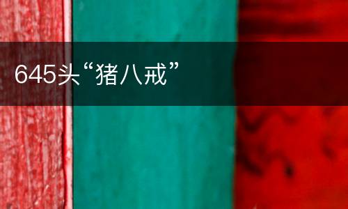 645头“猪八戒”
