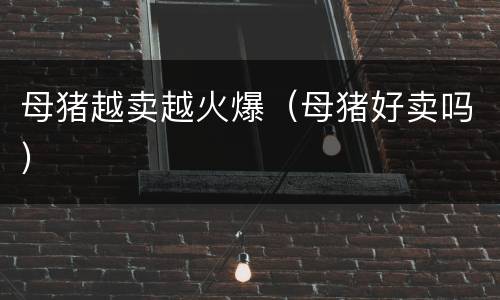 母猪越卖越火爆（母猪好卖吗）