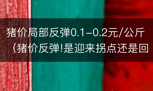 猪价局部反弹0.1-0.2元/公斤（猪价反弹!是迎来拐点还是回光返照?）