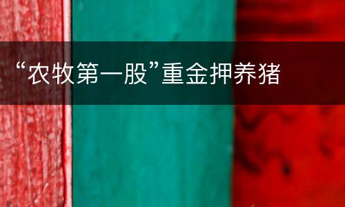 “农牧第一股”重金押养猪
