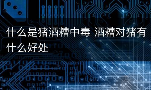 什么是猪酒糟中毒 酒糟对猪有什么好处