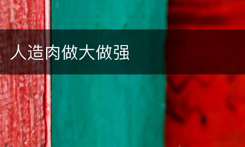 人造肉做大做强