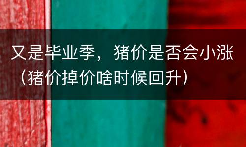 又是毕业季，猪价是否会小涨（猪价掉价啥时候回升）