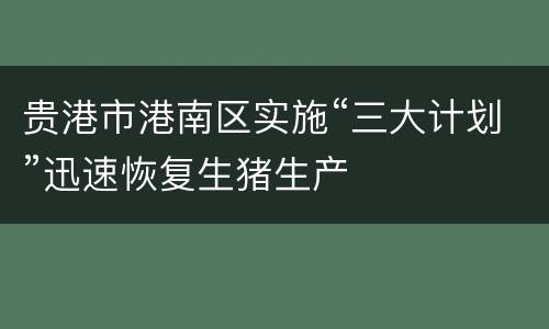 贵港市港南区实施“三大计划”迅速恢复生猪生产