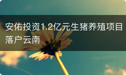 安佑投资1.2亿元生猪养殖项目落户云南