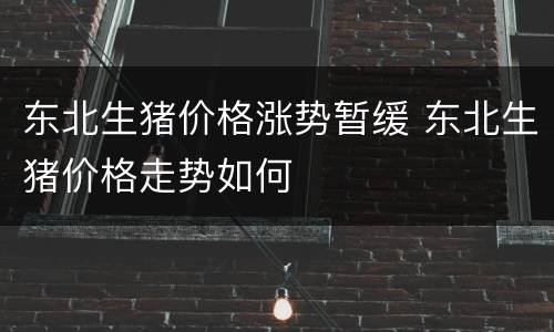 东北生猪价格涨势暂缓 东北生猪价格走势如何