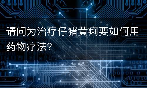 请问为治疗仔猪黄痢要如何用药物疗法？