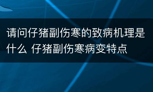 请问仔猪副伤寒的致病机理是什么 仔猪副伤寒病变特点