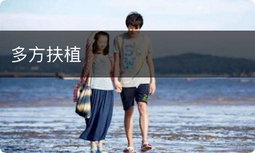 多方扶植