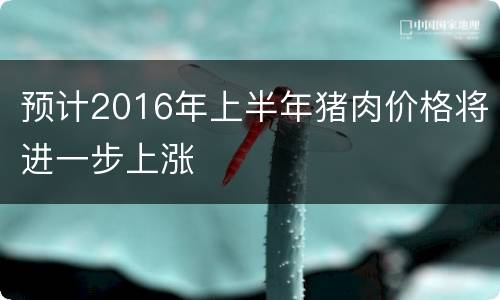 预计2016年上半年猪肉价格将进一步上涨