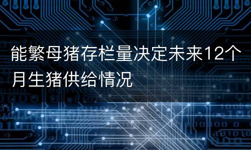 能繁母猪存栏量决定未来12个月生猪供给情况