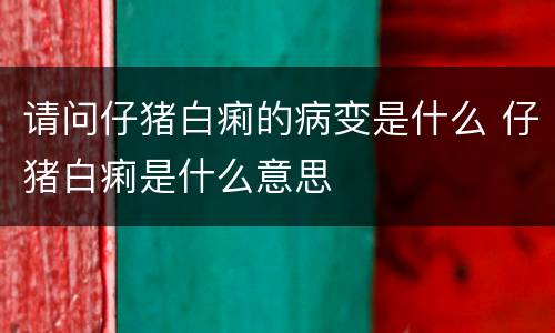 请问仔猪白痢的病变是什么 仔猪白痢是什么意思