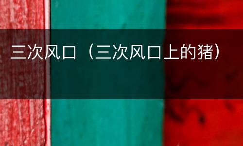 三次风口（三次风口上的猪）