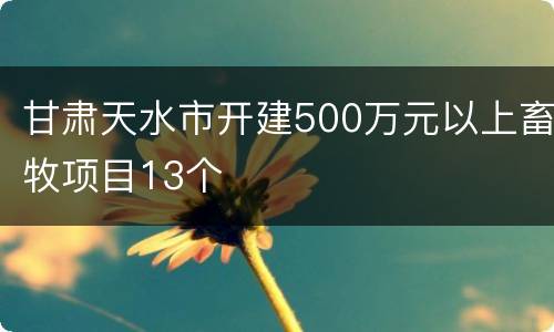 甘肃天水市开建500万元以上畜牧项目13个