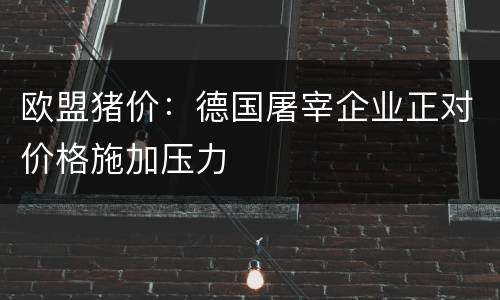 欧盟猪价：德国屠宰企业正对价格施加压力