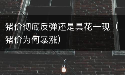 猪价彻底反弹还是昙花一现（猪价为何暴涨）