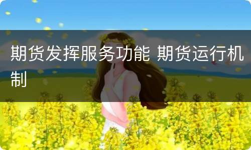 期货发挥服务功能 期货运行机制