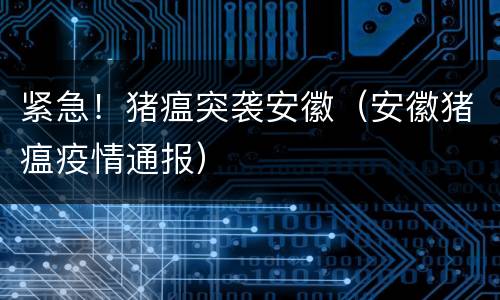 紧急！猪瘟突袭安徽（安徽猪瘟疫情通报）