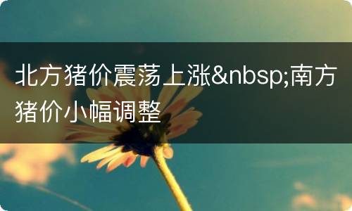 北方猪价震荡上涨&nbsp;南方猪价小幅调整