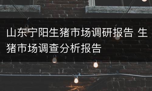 山东宁阳生猪市场调研报告 生猪市场调查分析报告