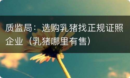 质监局：选购乳猪找正规证照企业（乳猪哪里有售）