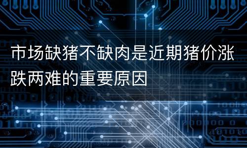 市场缺猪不缺肉是近期猪价涨跌两难的重要原因