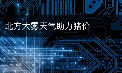 北方大雾天气助力猪价