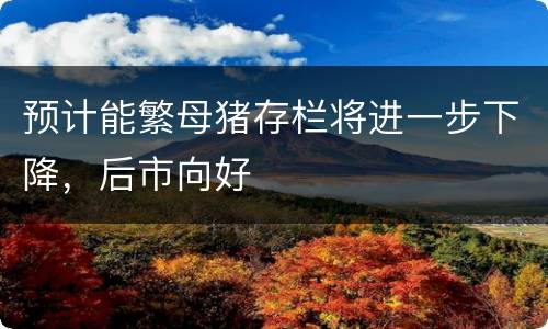 预计能繁母猪存栏将进一步下降，后市向好