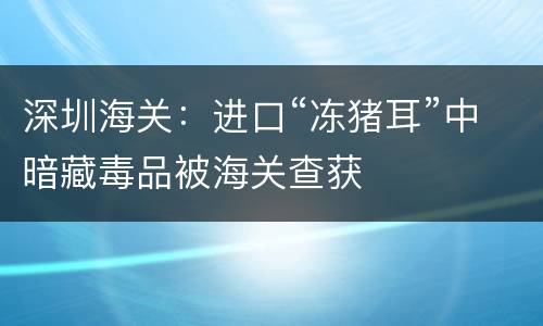 深圳海关：进口“冻猪耳”中暗藏毒品被海关查获