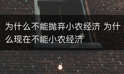 为什么不能抛弃小农经济 为什么现在不能小农经济