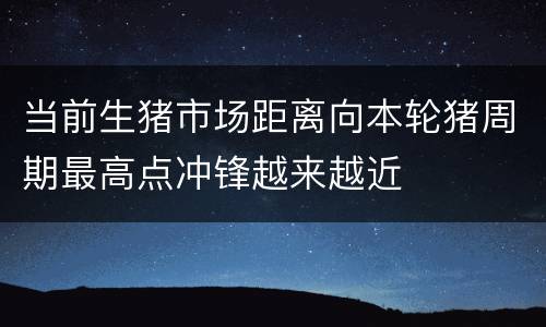 当前生猪市场距离向本轮猪周期最高点冲锋越来越近