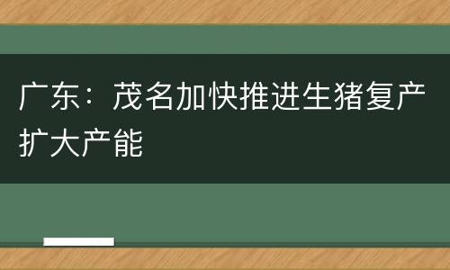 广东：茂名加快推进生猪复产扩大产能
