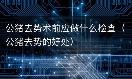 公猪去势术前应做什么检查（公猪去势的好处）