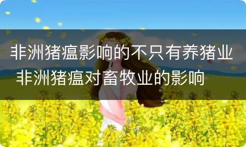 非洲猪瘟影响的不只有养猪业 非洲猪瘟对畜牧业的影响