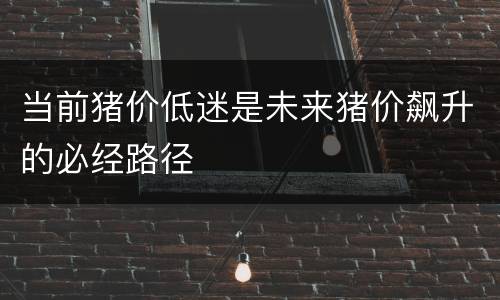 当前猪价低迷是未来猪价飙升的必经路径