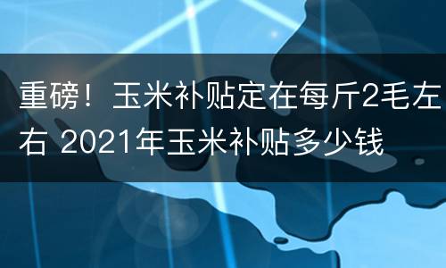 重磅！玉米补贴定在每斤2毛左右 2021年玉米补贴多少钱