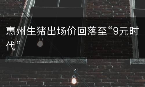 惠州生猪出场价回落至“9元时代”