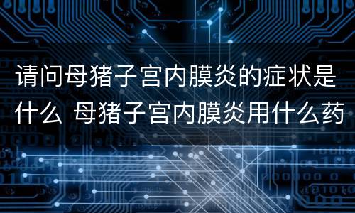 请问母猪子宫内膜炎的症状是什么 母猪子宫内膜炎用什么药治疗效果好