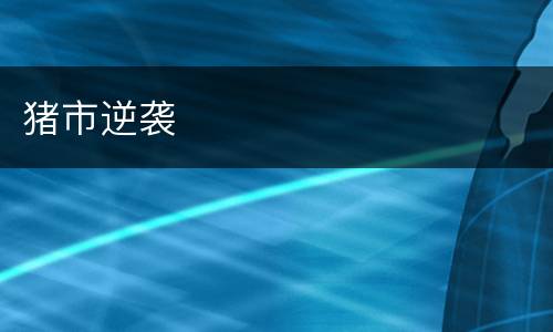 猪市逆袭