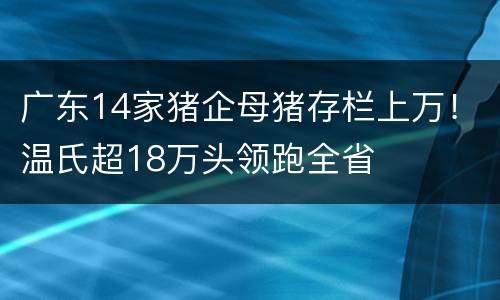 广东14家猪企母猪存栏上万！温氏超18万头领跑全省