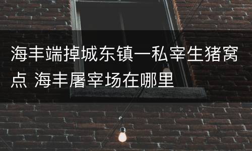海丰端掉城东镇一私宰生猪窝点 海丰屠宰场在哪里