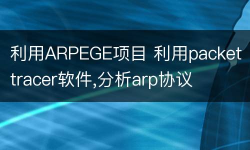 利用ARPEGE项目 利用packet tracer软件,分析arp协议