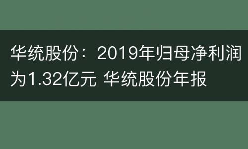 华统股份：2019年归母净利润为1.32亿元 华统股份年报